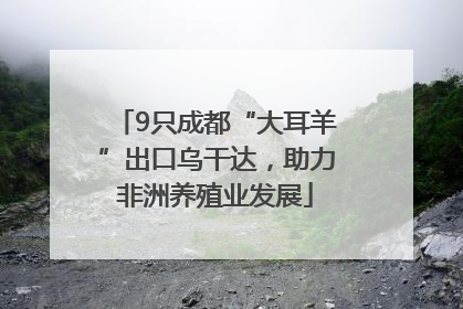 9只成都“大耳羊”出口乌干达，助力非洲养殖业发展
