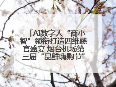 AI数字人“商小智”领衔打造四维感官盛宴 烟台机场第三届“品鲜嗨购节”智趣启航