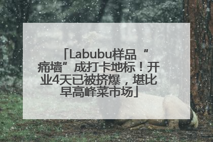 Labubu样品“痛墙”成打卡地标！开业4天已被挤爆，堪比早高峰菜市场